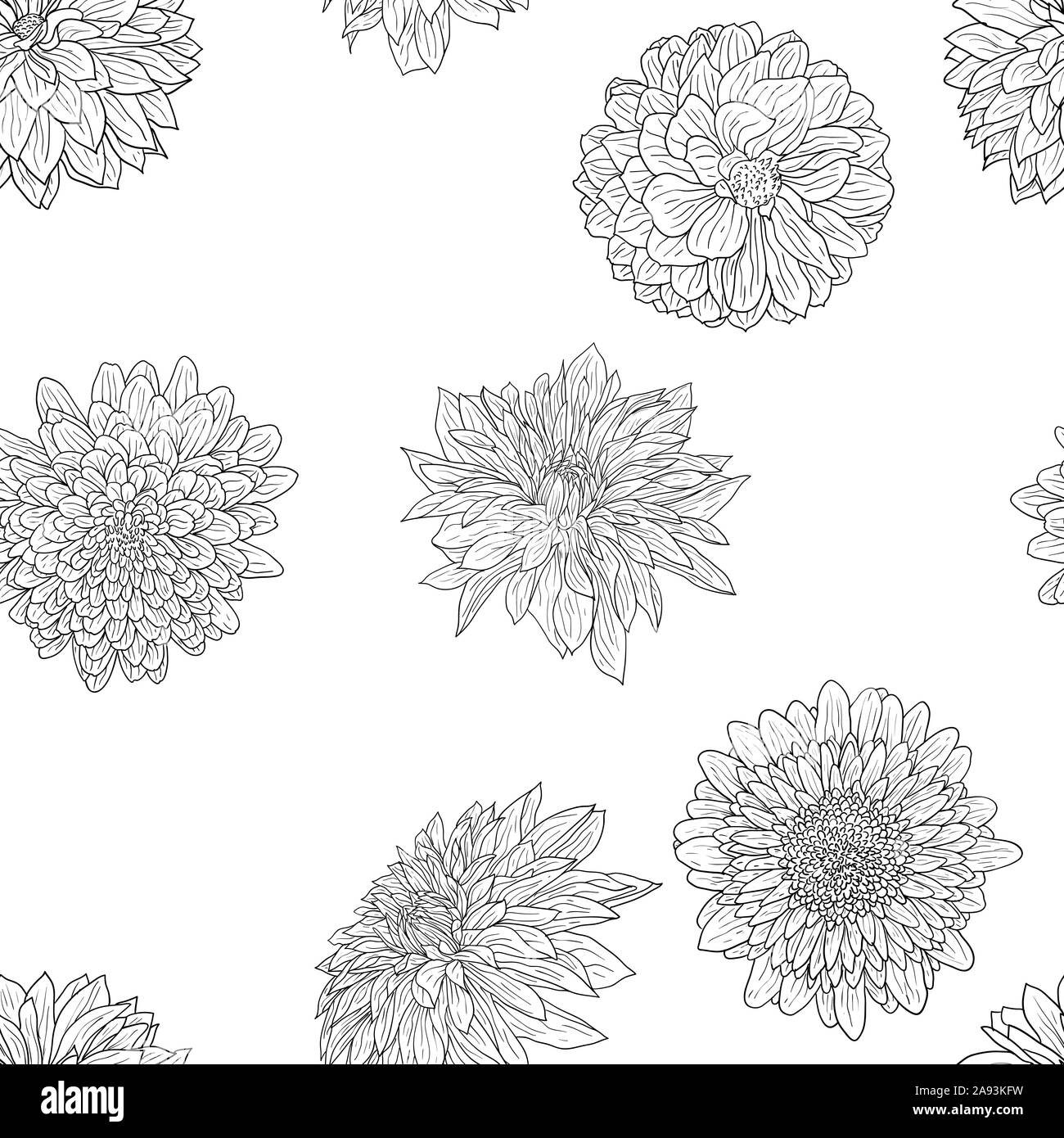 Beautiful monochrome sketch, black and white dahlia flower seamless wallpaper. Stock Photo
