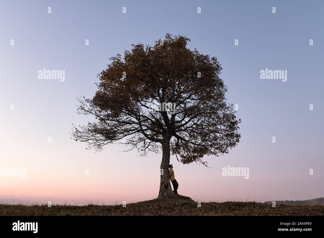 Silhouette of tourist under majestic tree at evening mountains meadow at sunset. Dramatic colorful scene with clear orange sky. Landscape photography Stock Photo