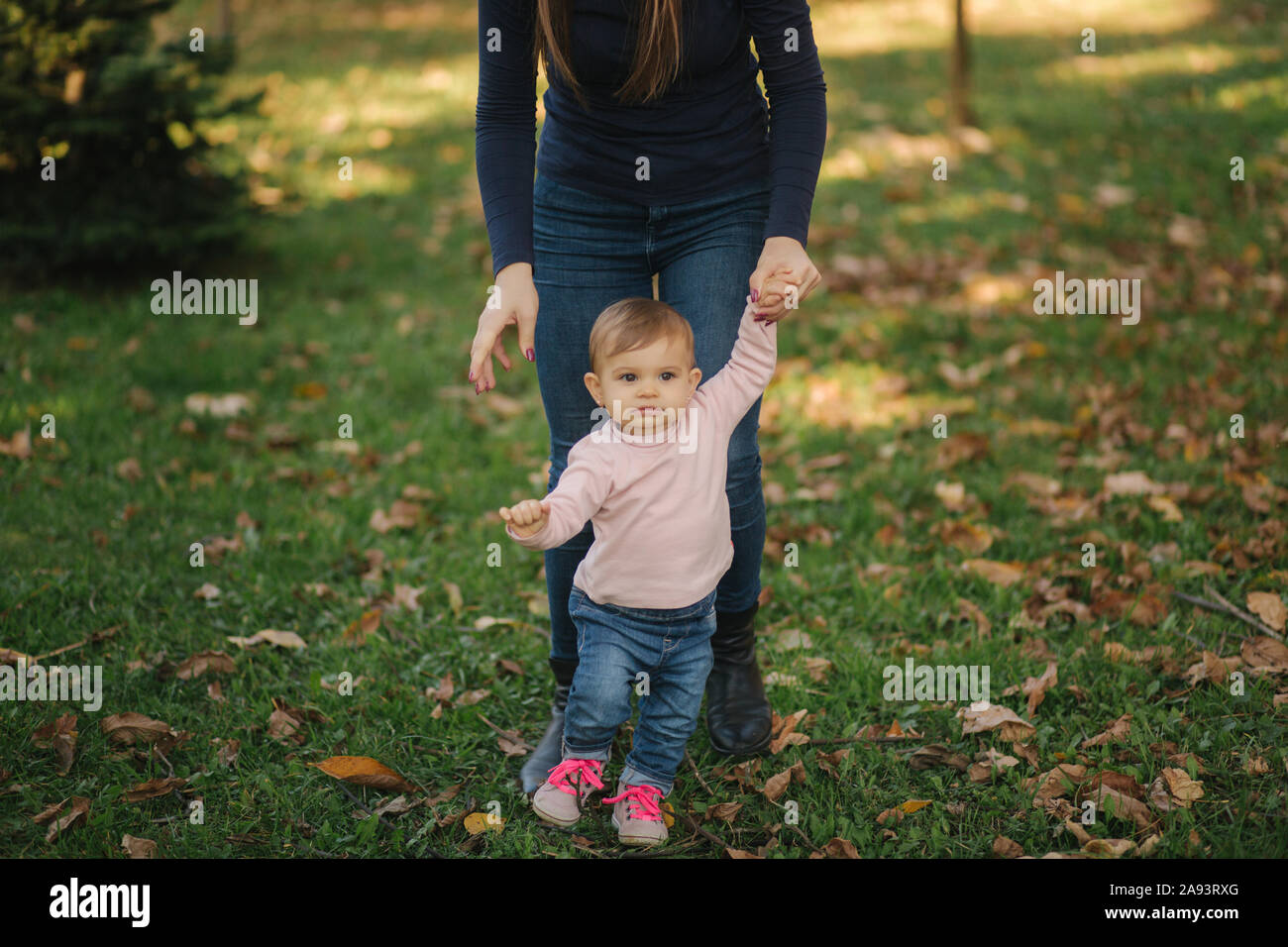 Happy little girl walk with mom in autumn in the park Stock Photo - Alamy