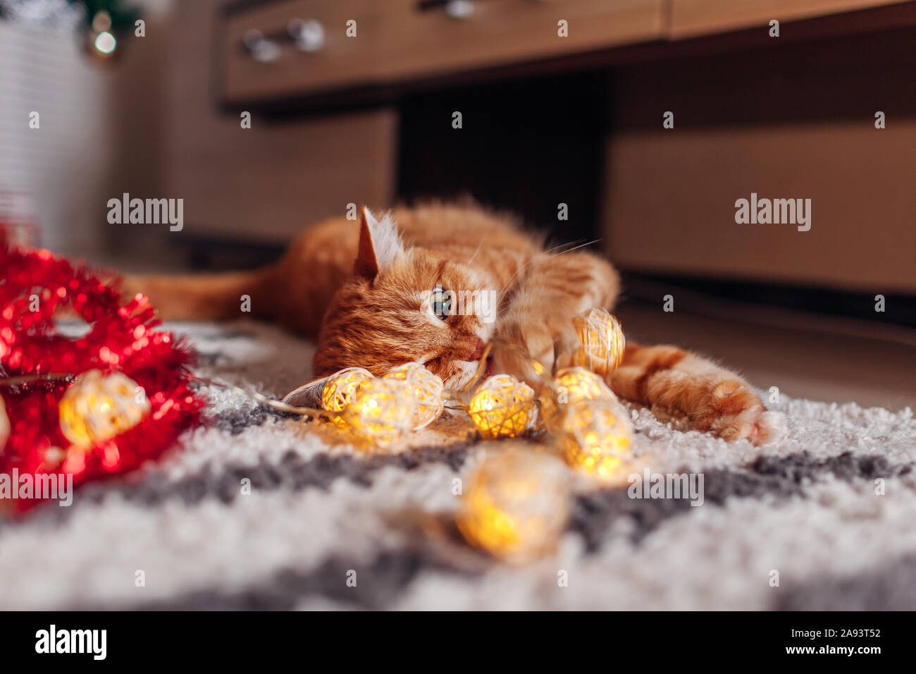 Ginger cat playing with garland under Christmas tree. Christmas and New year concept Stock Photo