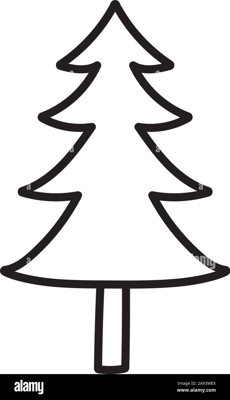 pine tree foliage botanical on white background vector illustration ...