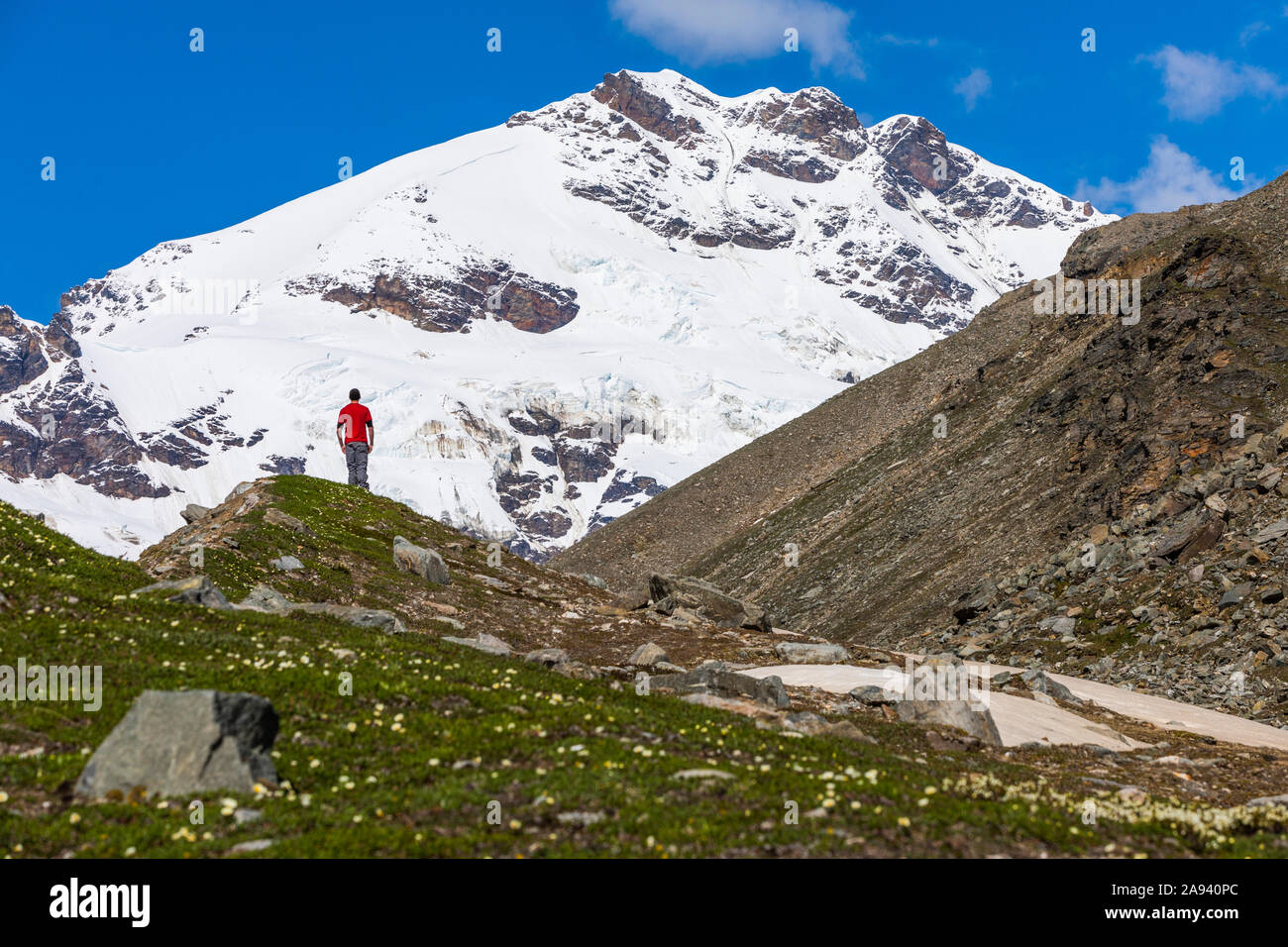 Mount Silvertip rises over a man in an alpine meadow near Thayer Hut in the Alaska Range; Alaska, United States of America Stock Photo
