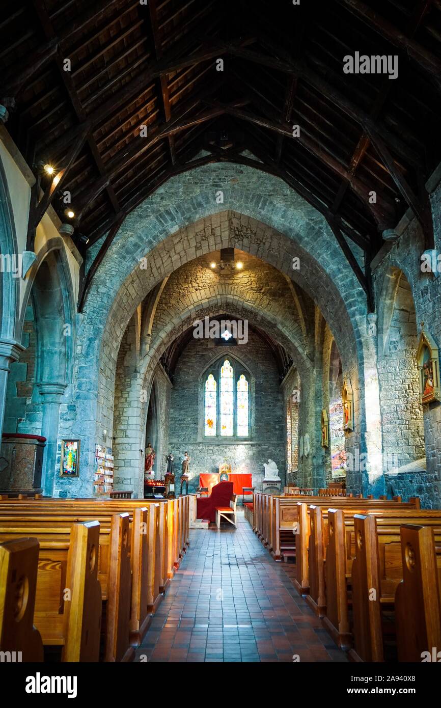 Holy Trinity Abbey, Adare, Limerick Stock Photo - Alamy