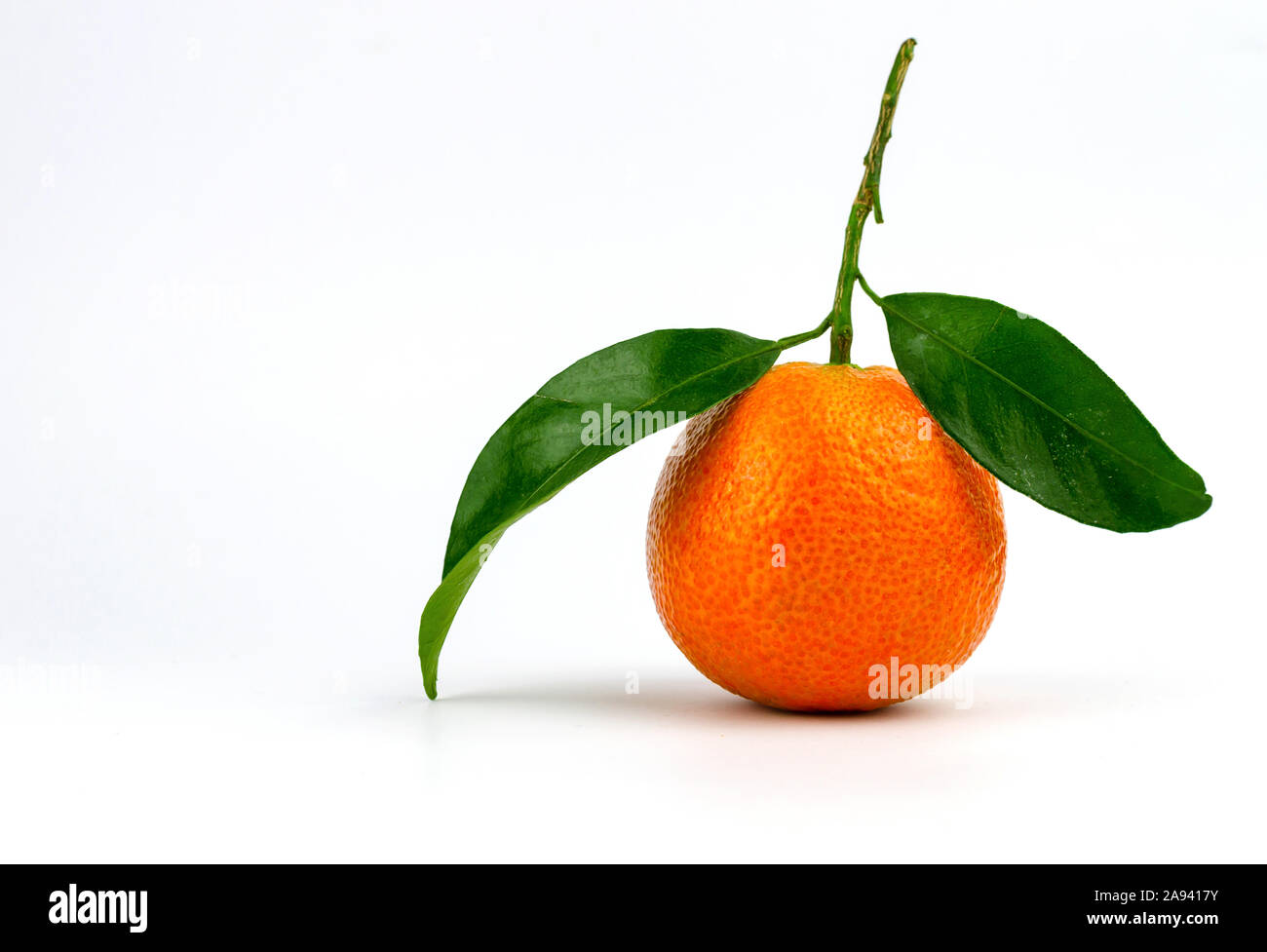 Extra sweet and juicy Spanish clementine with leaves. Isolated on white