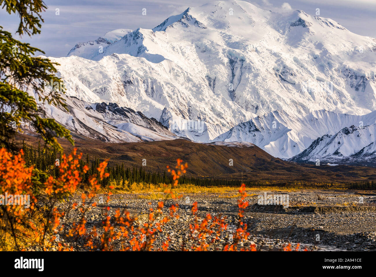 Denali shines above the Muddy River in autumn, viewed from near Peters Glacier (visible in valley at right) in the backcountry of Denali National P... Stock Photo