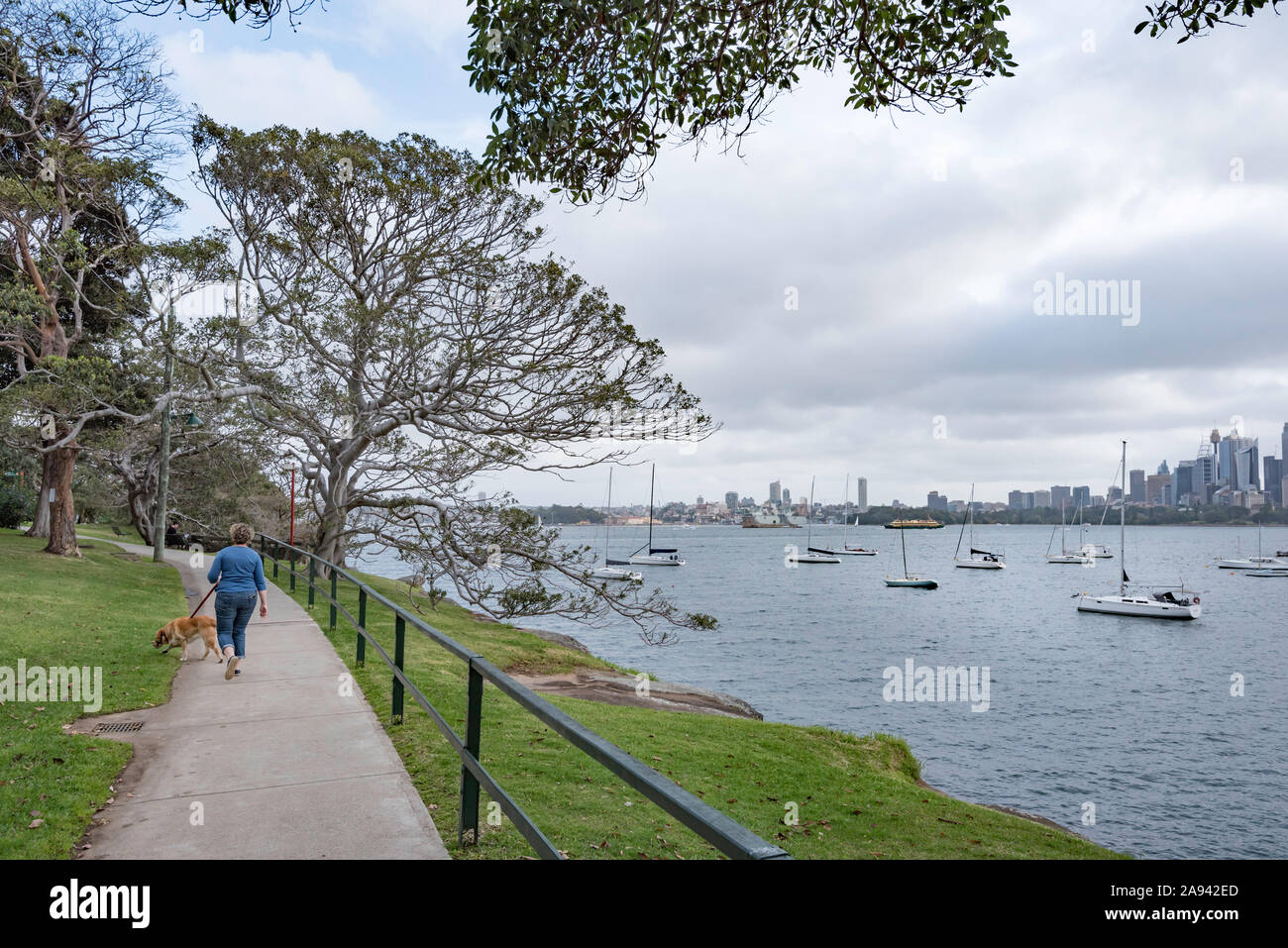On a cloudy day in a woman walks briskly with her golden Labrador cross dog along a path through Cremorne Reserve beside Sydney Harbour in Australia Stock Photo