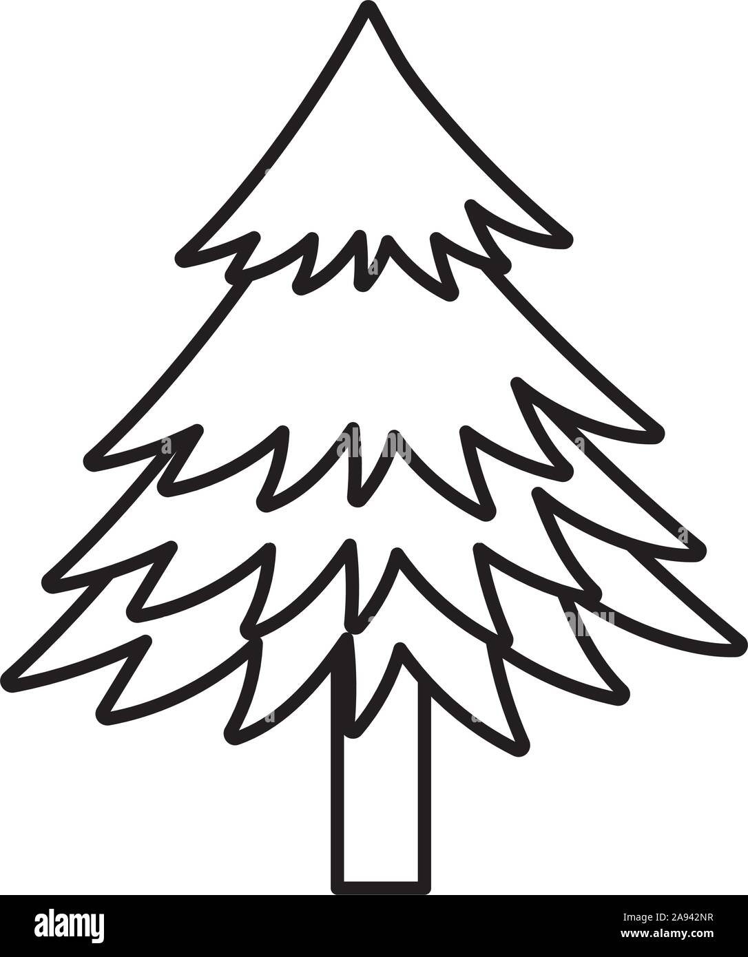 pine tree foliage botanical on white background vector illustration ...