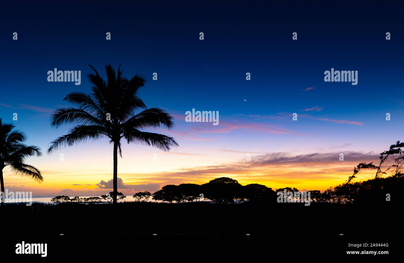 Silhouetted palm trees along the coast of Kauai during a colourful sunrise; Kauai, Hawaii, United States of America Stock Photo