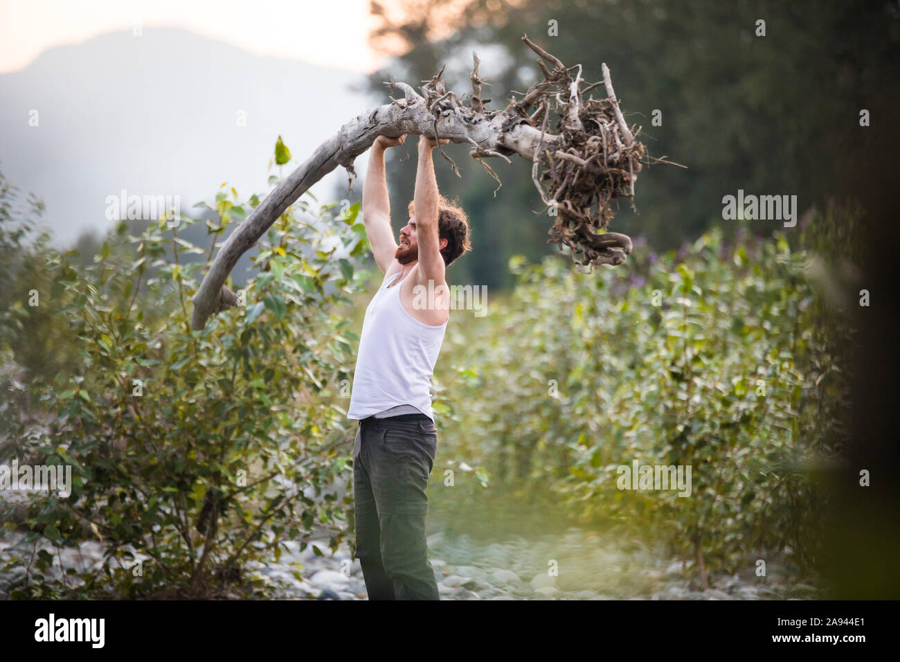 Untitled Stock Photo