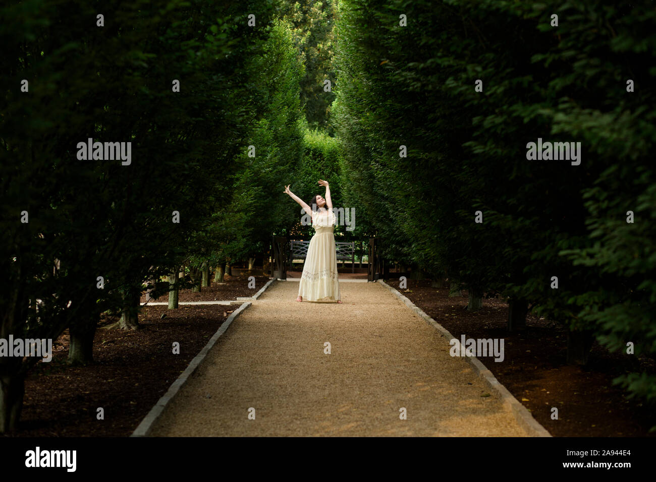 A woman on a dark tree-lined path raises her arms to golden light Stock Photo