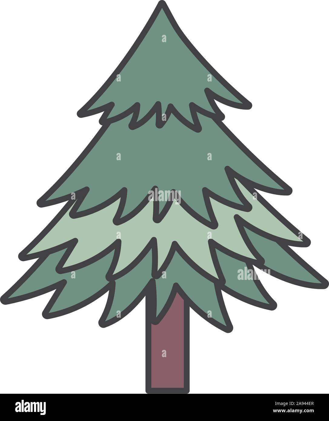 pine tree foliage botanical on white background vector illustration ...
