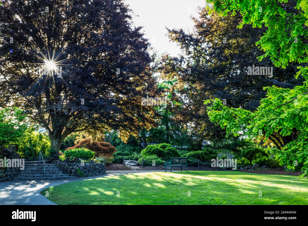 Queen Elizabeth Park; Vancouver, British Columbia, Canada Stock Photo