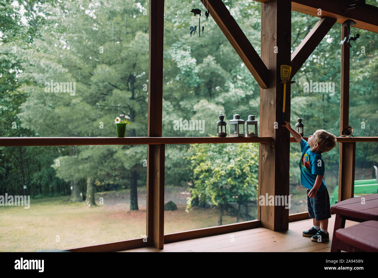 Fly swatter hires stock photography and images Alamy