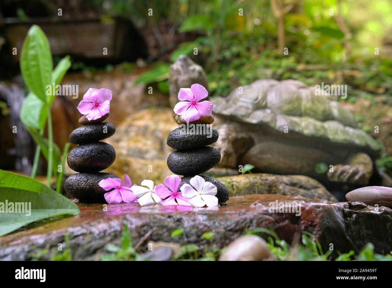 Stack of zen stones with flowers next to a garden mini waterfall. Zen or spa or wellness concept. Stock Photo