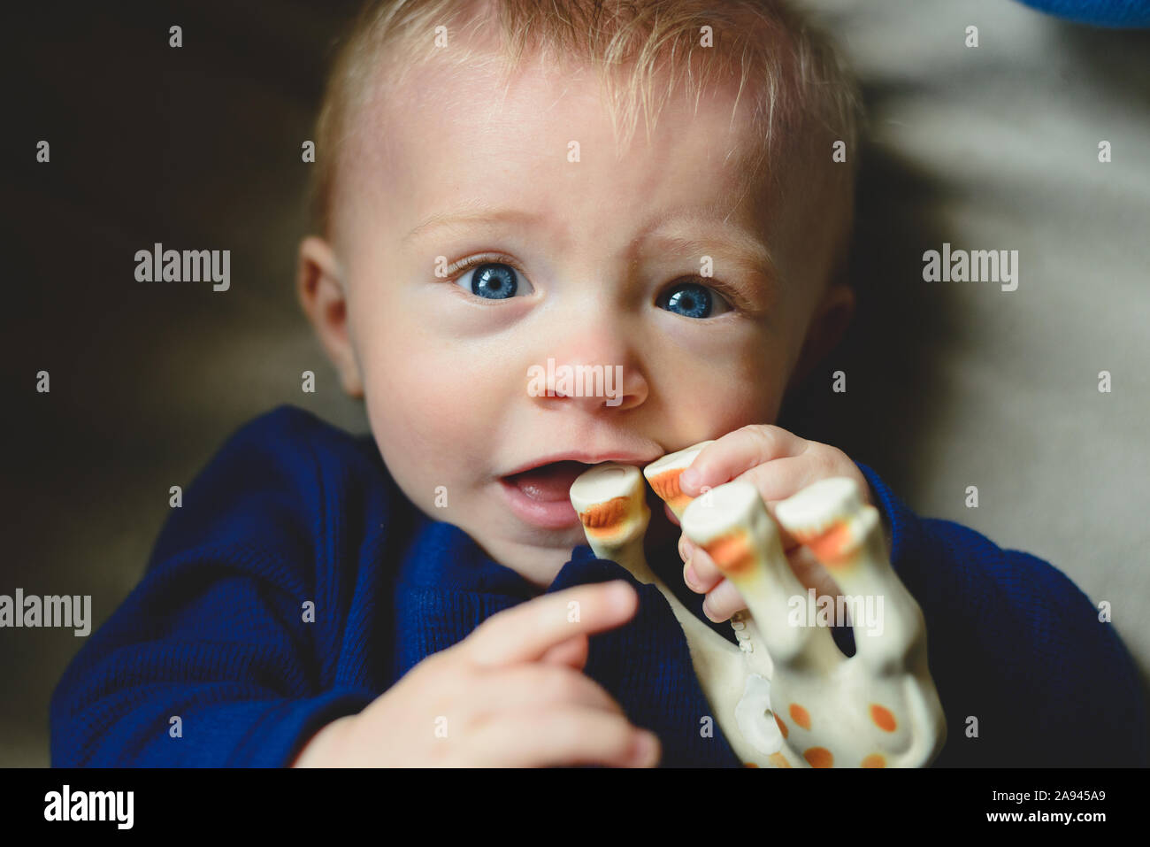 A baby boy chews on a toy. Stock Photo