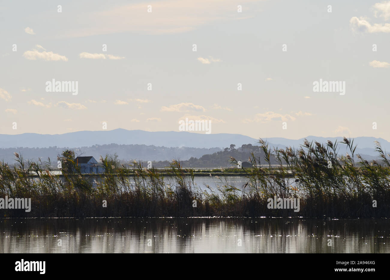 Albufera natural park, a wetland of international importance in Valencia region, eastern Spain Stock Photo