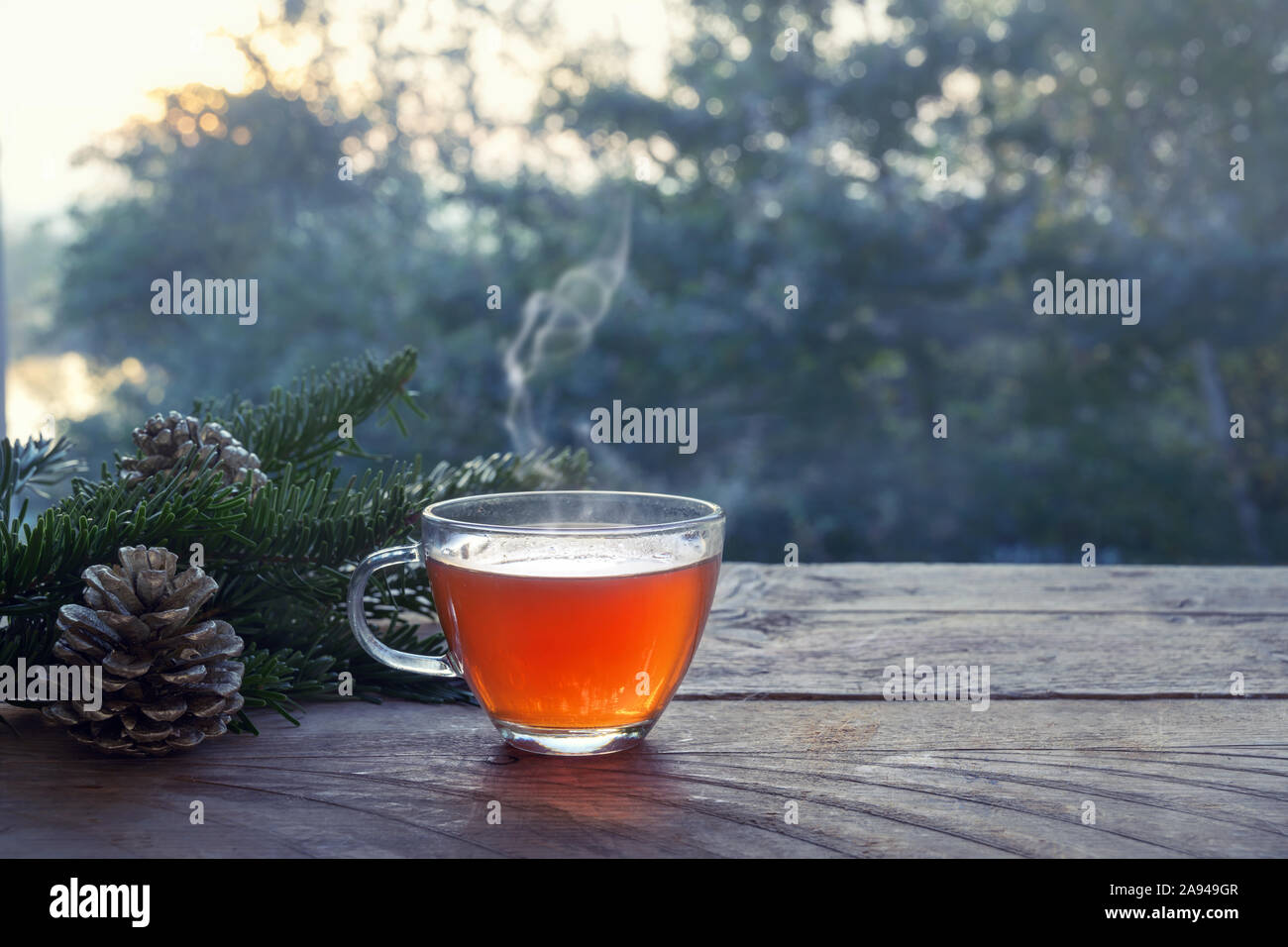 Cup with hot steaming tea on a rustic wooden garden table with Christmas decoration on a winter day, health concept against cold and flu, copy space, Stock Photo