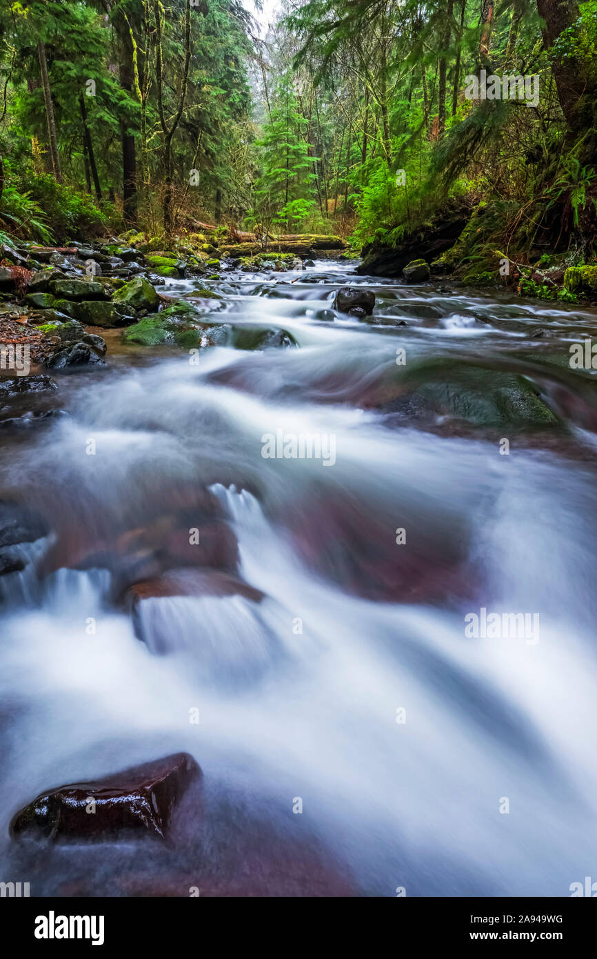 Lush oregon cascade hi-res stock photography and images - Alamy