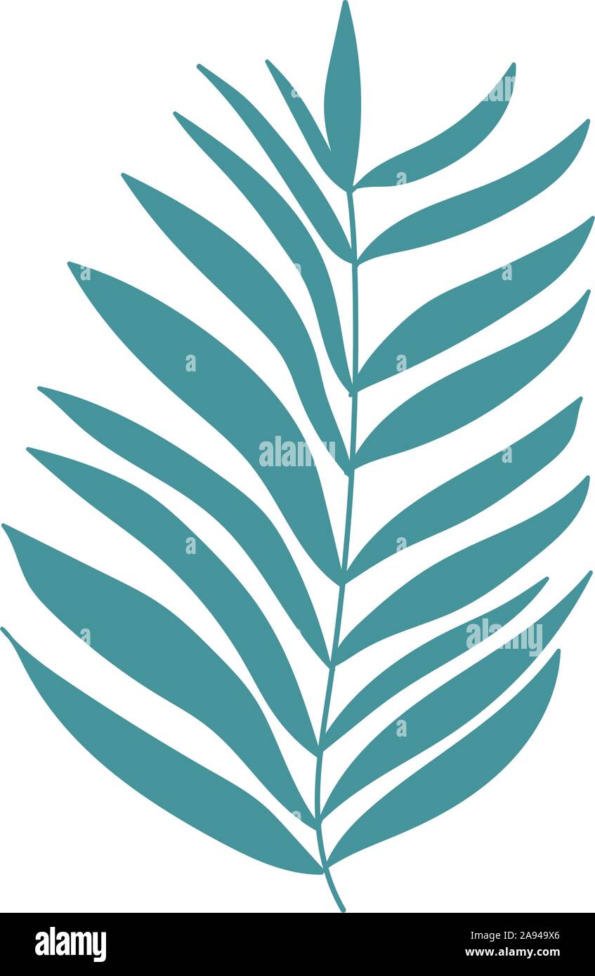 palm leaf tropical botanical icon vector illustration Stock Vector ...