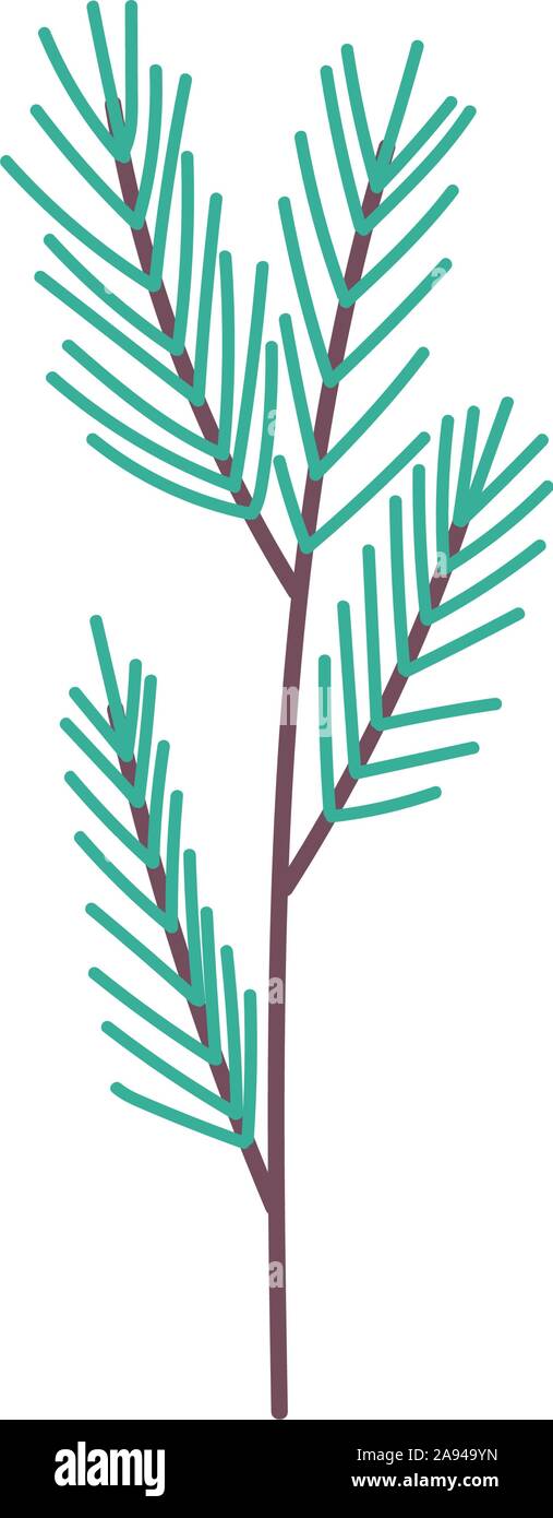 branch pine leaves foliage nature icon vector illustration Stock Vector ...