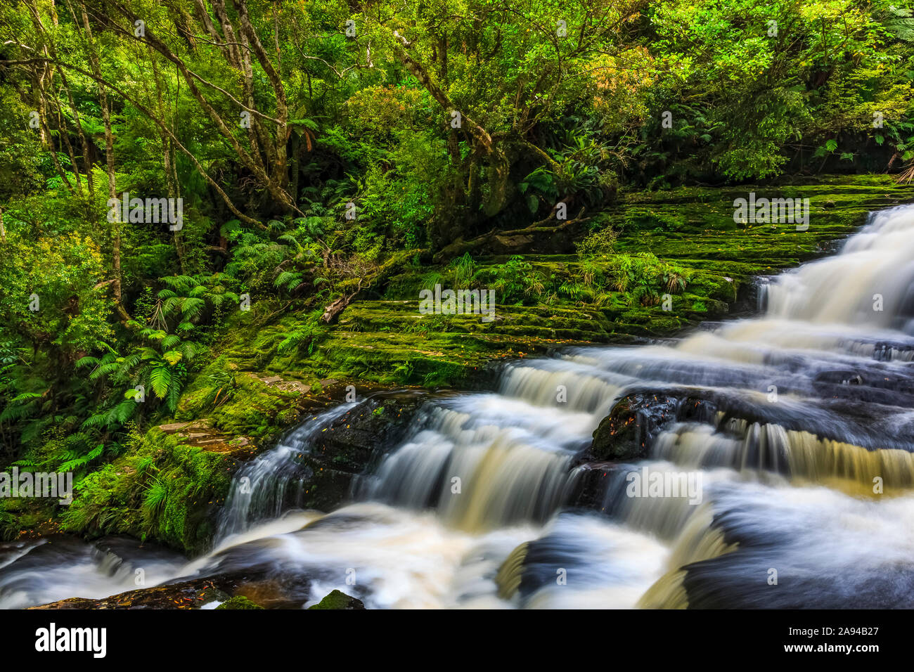 McLean Falls, Catlins Forest Park; Otago Region, New Zealand Stock Photo