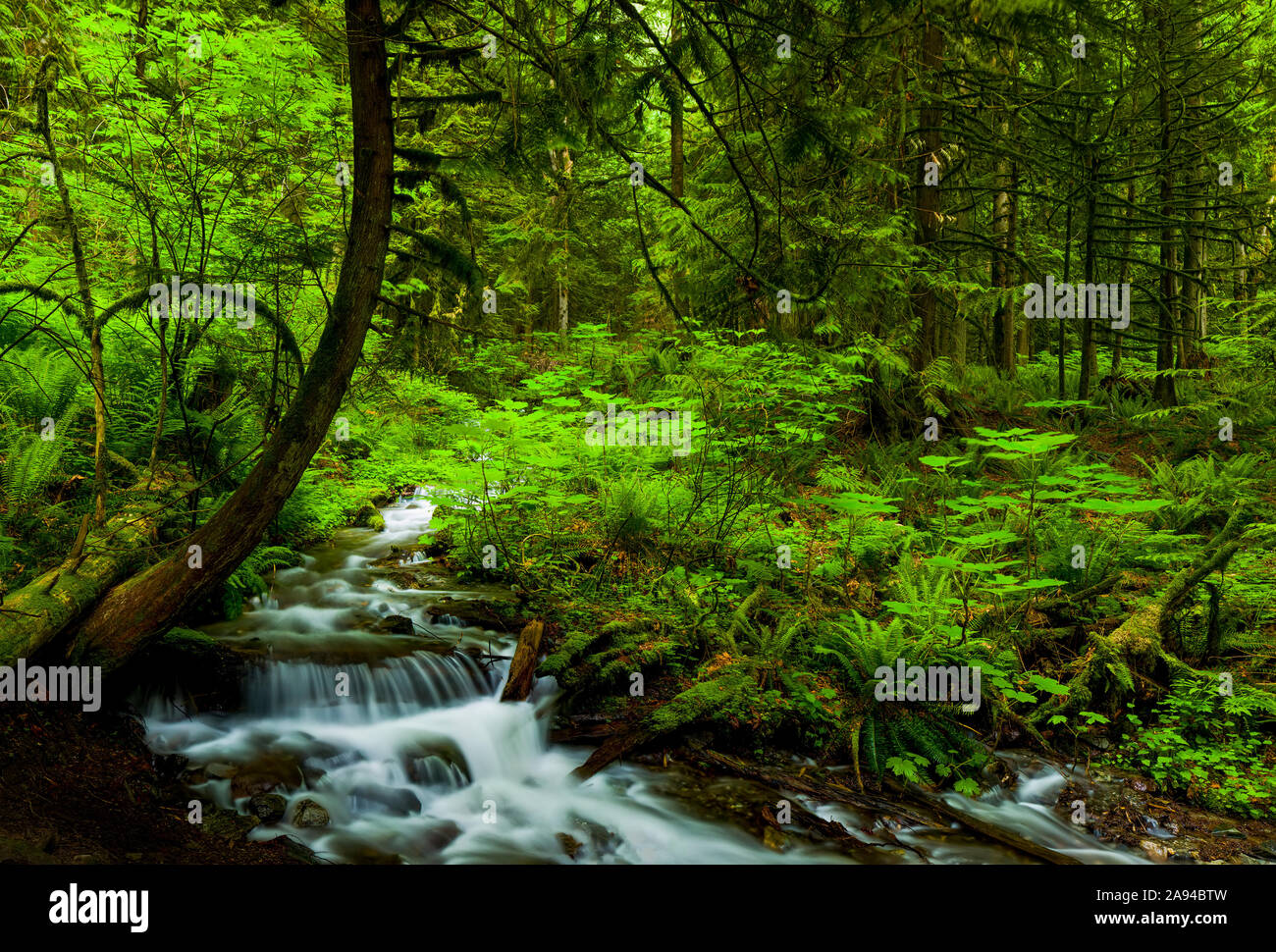 Bridal Veil Falls, Bridal Veil Falls Provincial Park; British Columbia