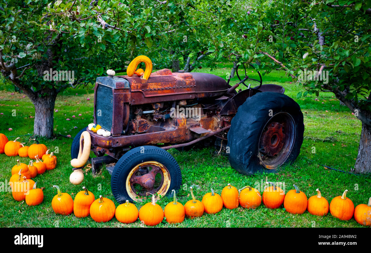 Decorated tractor hires stock photography and images Alamy