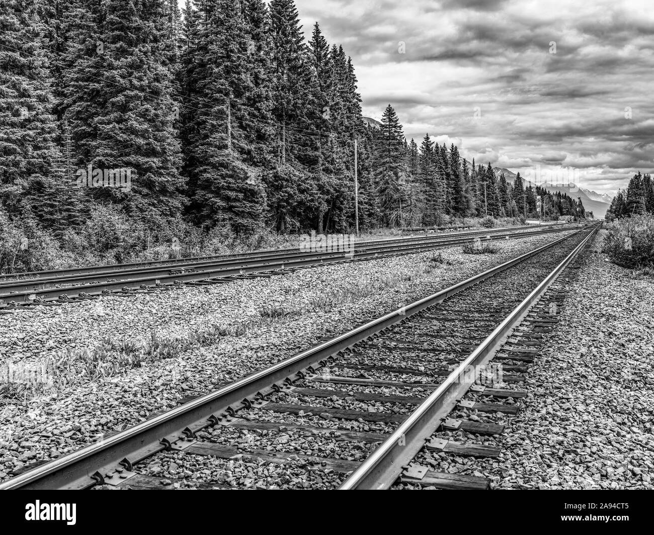 Train tracks along a forest and Moose Lake, Icefield Parkway, Regional District of Fraser-Fort George; British Columbia, Canada Stock Photo