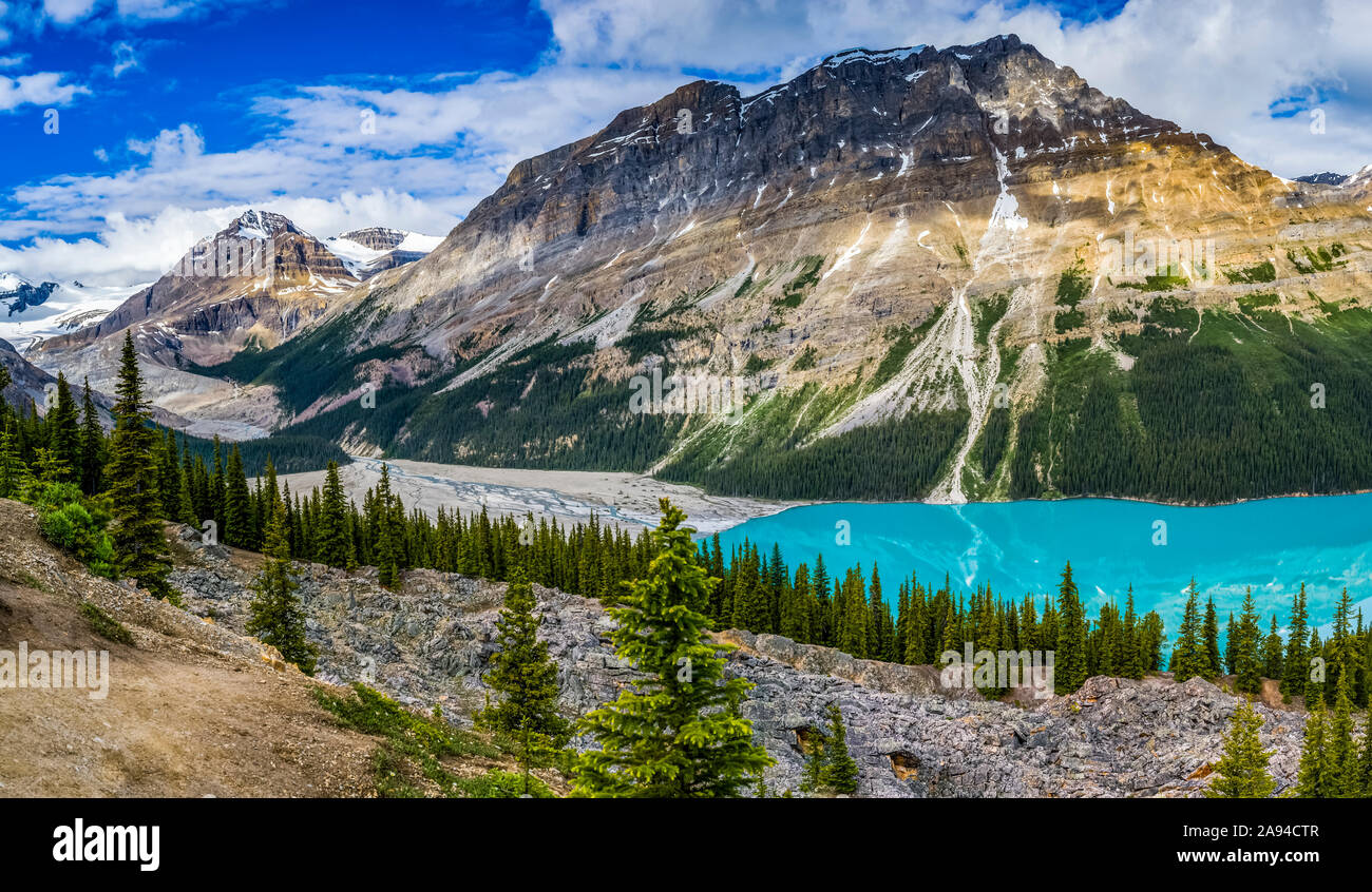 Bright blue water of Peyto Lake in the Rocky Mountains of Banff ...
