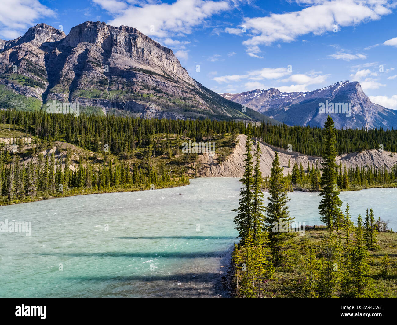 Rugged rocky mountains and forest along the Athabasca River and Icefield Parkway; Improvement District No. 9, Alberta, Canada Stock Photo