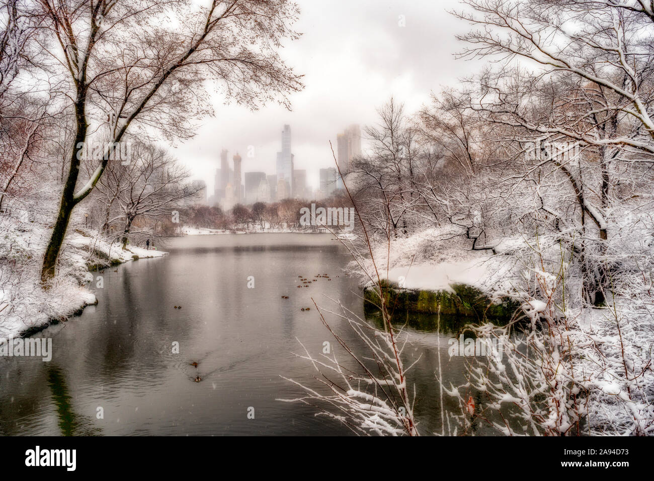 Snowfall in Central Park; New York City, New York, United States of