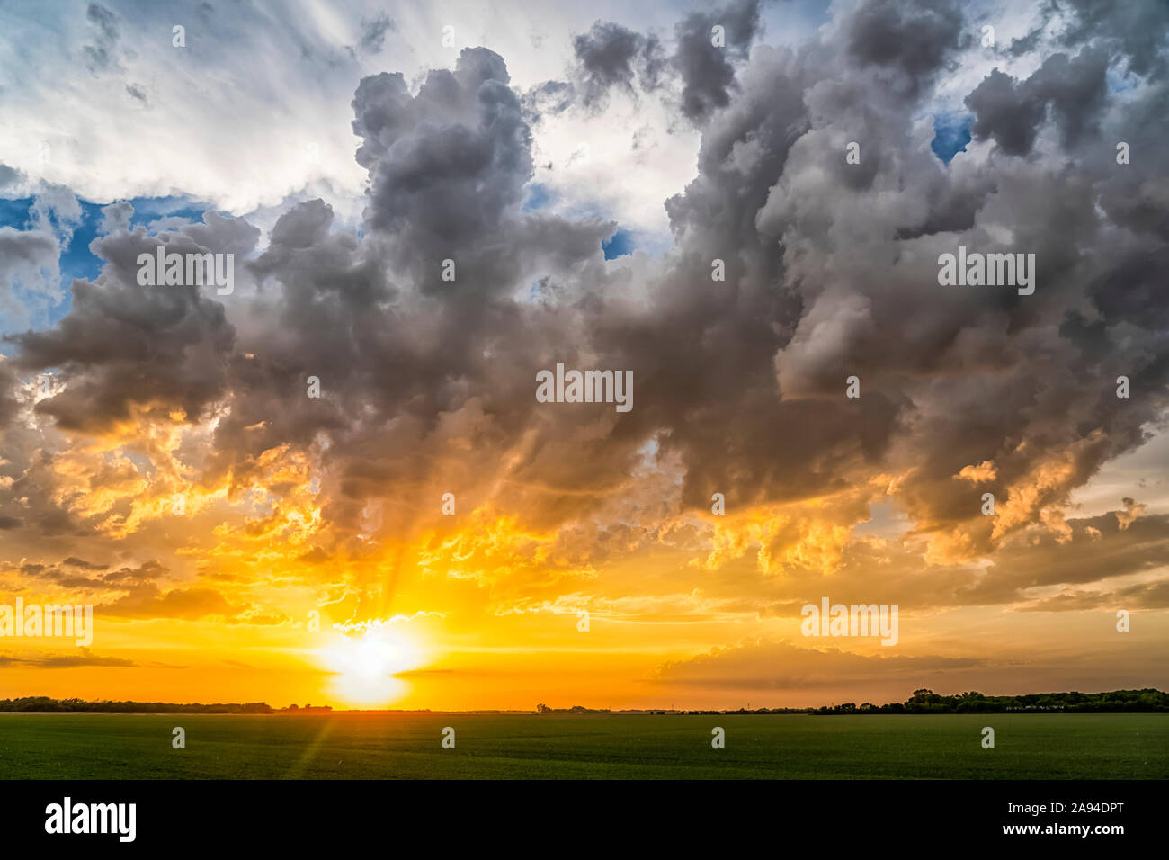 Bright golden sunset over the flat prairie land; Val Marie, Saskatchewan, Canada Stock Photo