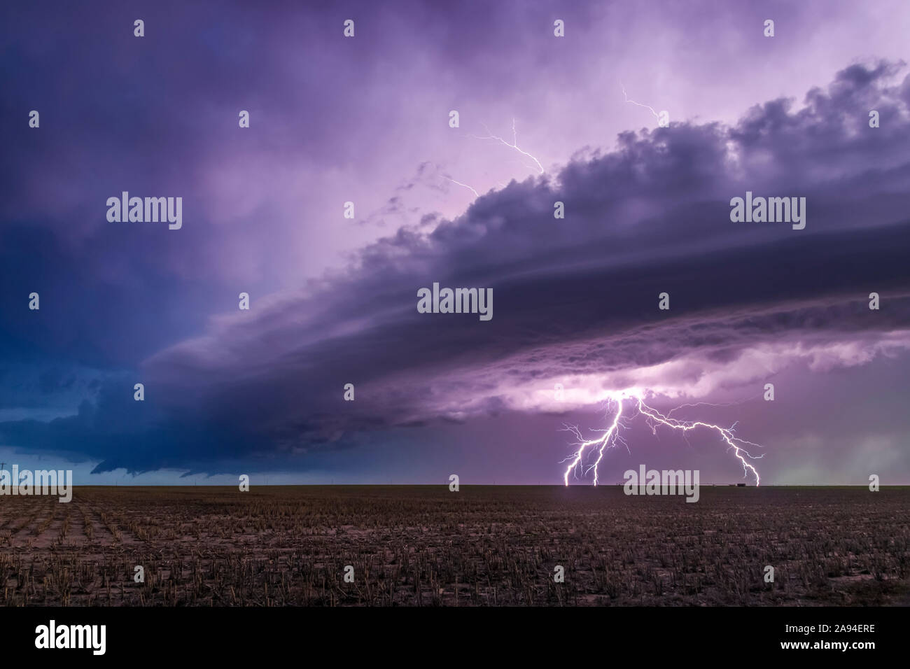 Dramatic storm clouds with forked lightning over farmland; Guymon, Oklahoma, United States of America Stock Photo
