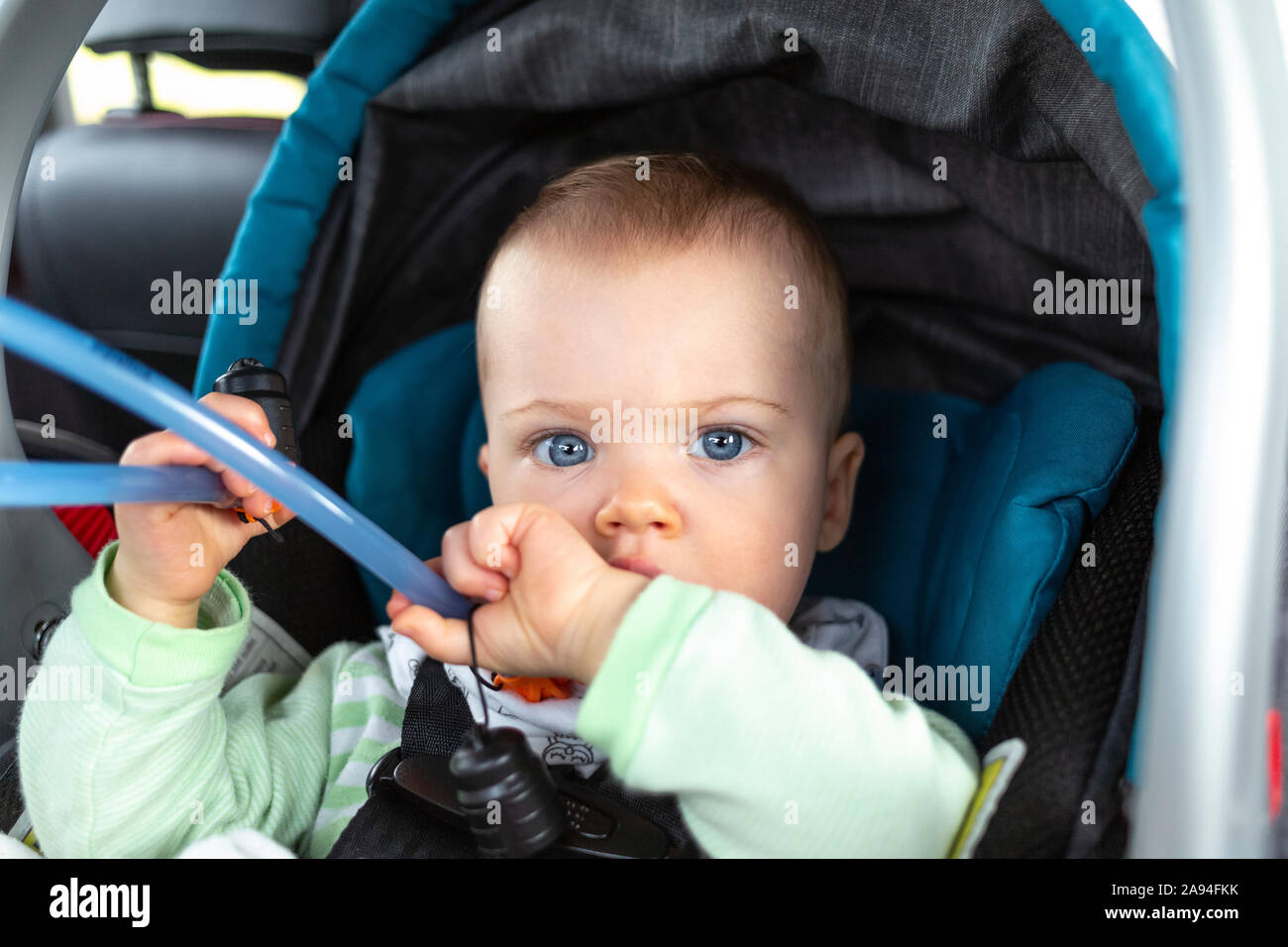 Cybex Cloud Z i-size infant car seat cut out isolated on white background  Stock Photo - Alamy