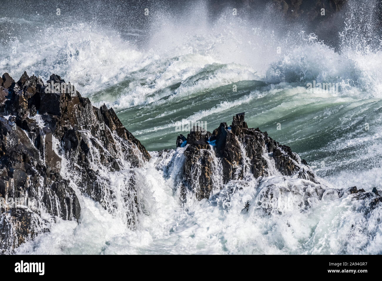 Surf breaks on a basalt outcrop at Cape Falcon; Manzanita, Oregon, United States of America Stock Photo