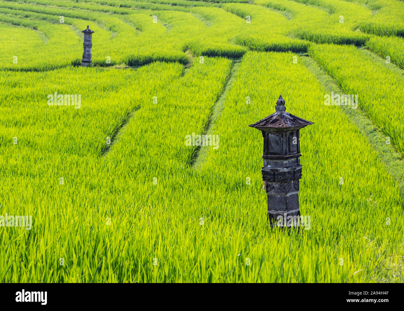 Stone lantern in the rice terraces of Selemadeq; Bali, Indonesia Stock Photo