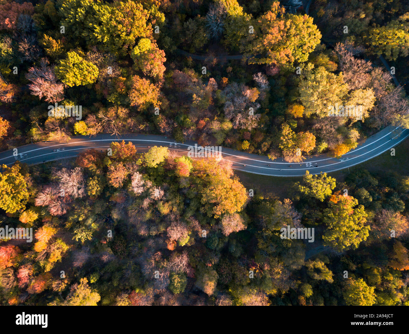 Aerial of a road surrounded with trees in Central Park at fall Stock Photo