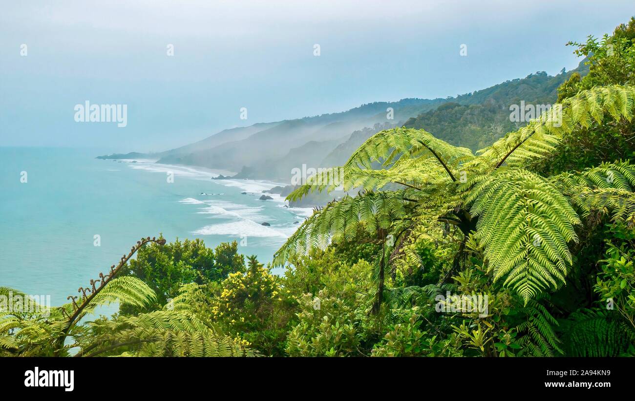 A New Zealand nature scene, with tree ferns and other lush green trees and bushes, overlooking the Tasman Sea and the South Island west coast on a rai Stock Photo