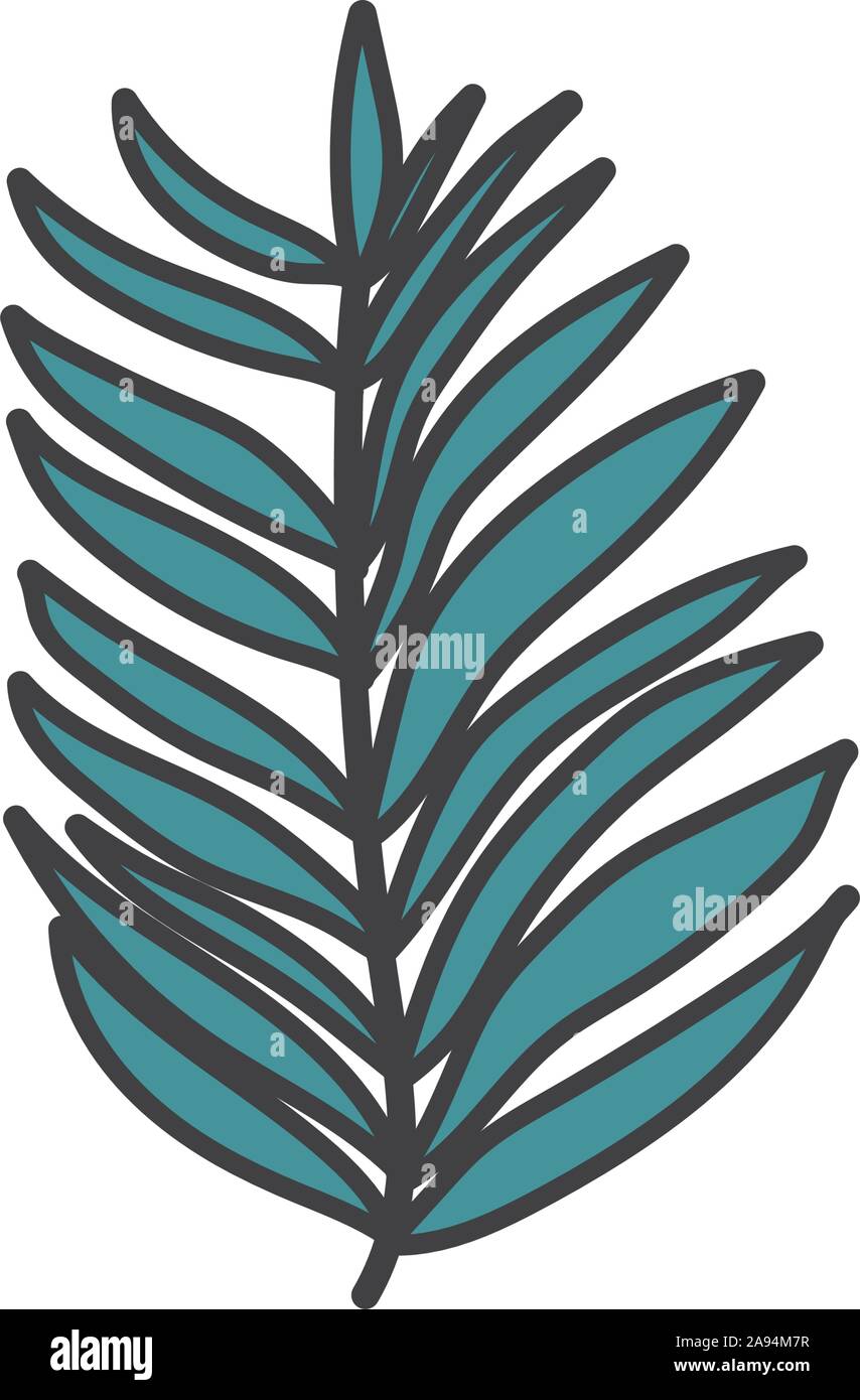palm leaf tropical botanical icon vector illustration Stock Vector ...