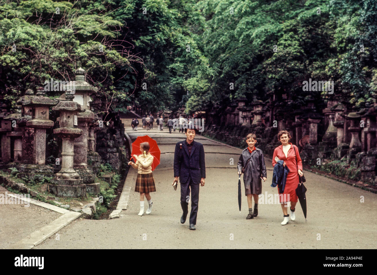 An Australian tourist family visiting the Nara Park, Japan, in 