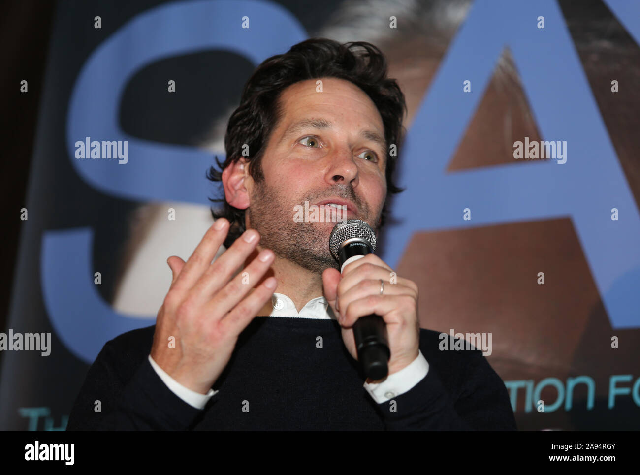 NEW YORK - NOV 11: Paul Rudd attends the 8th Annual Paul Rudd All-Star Benefit for SAY at Lucky Strike Lanes on November 11, 2019 in New York City. Stock Photo