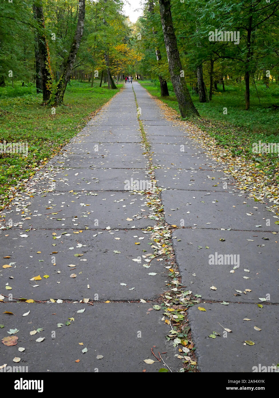Long park alley with concrete blocks in early autumn falling in middle of October, Khmelnytskyi, Ukraine Stock Photo