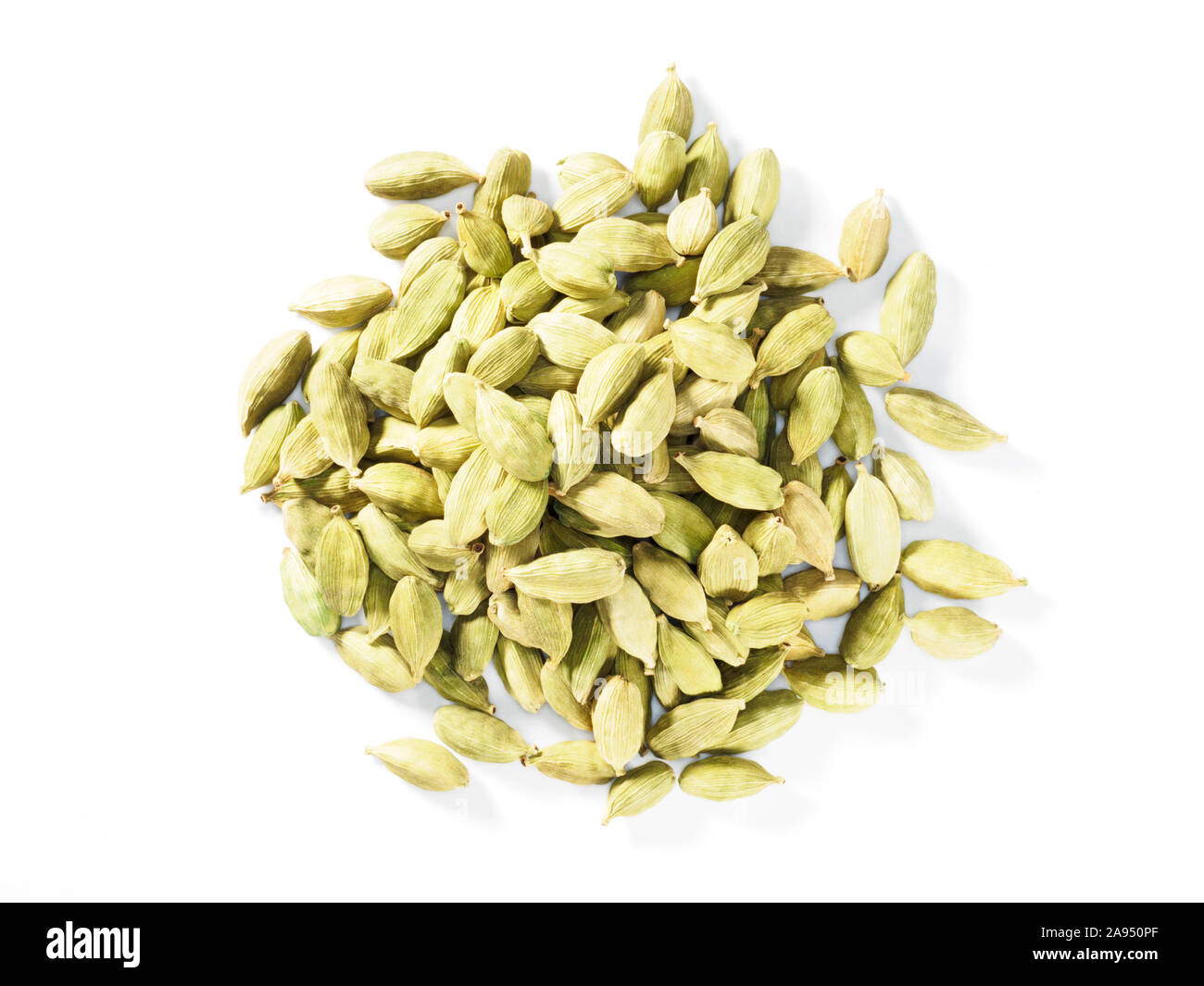 Handful spice Green Cardamom (Elettaria cardamomum) on a white background Stock Photo