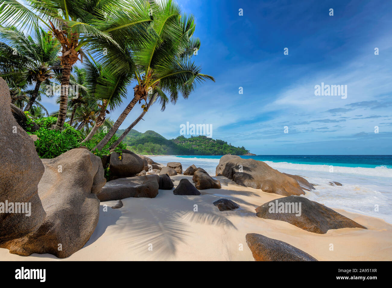 Coconut palm trees on exotic tropical beach in paradise island in blue ocean Stock Photo