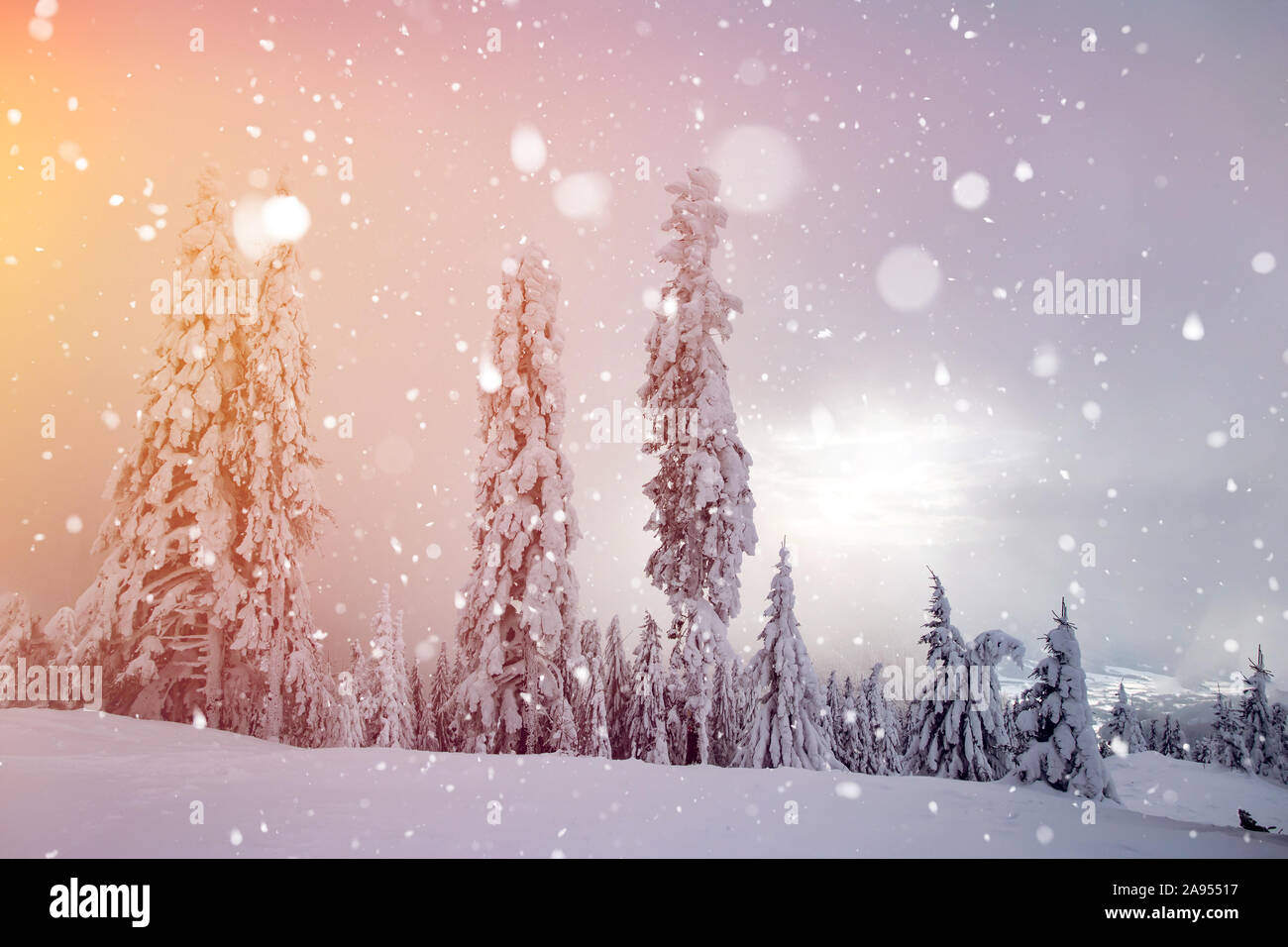 Magic Christmas concept with falling snow over beautiful winter landscape in the sunset. Stock Photo