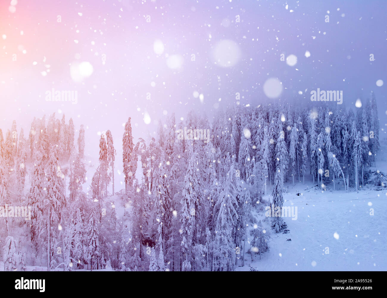 Magic Christmas concept with falling snow over beautiful winter landscape in the sunset. Stock Photo