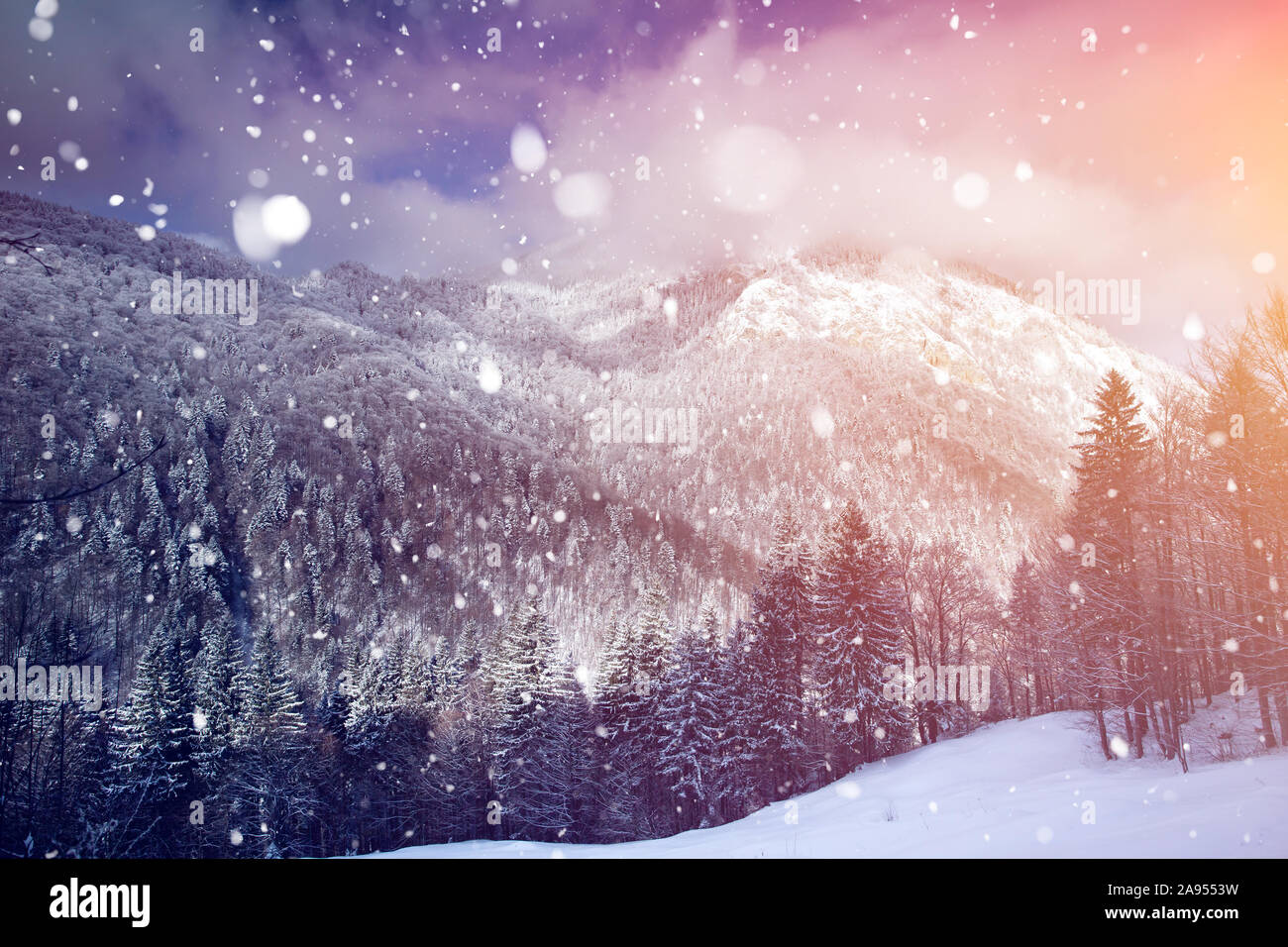 Magic Christmas concept with falling snow over beautiful winter landscape in the sunset. Stock Photo