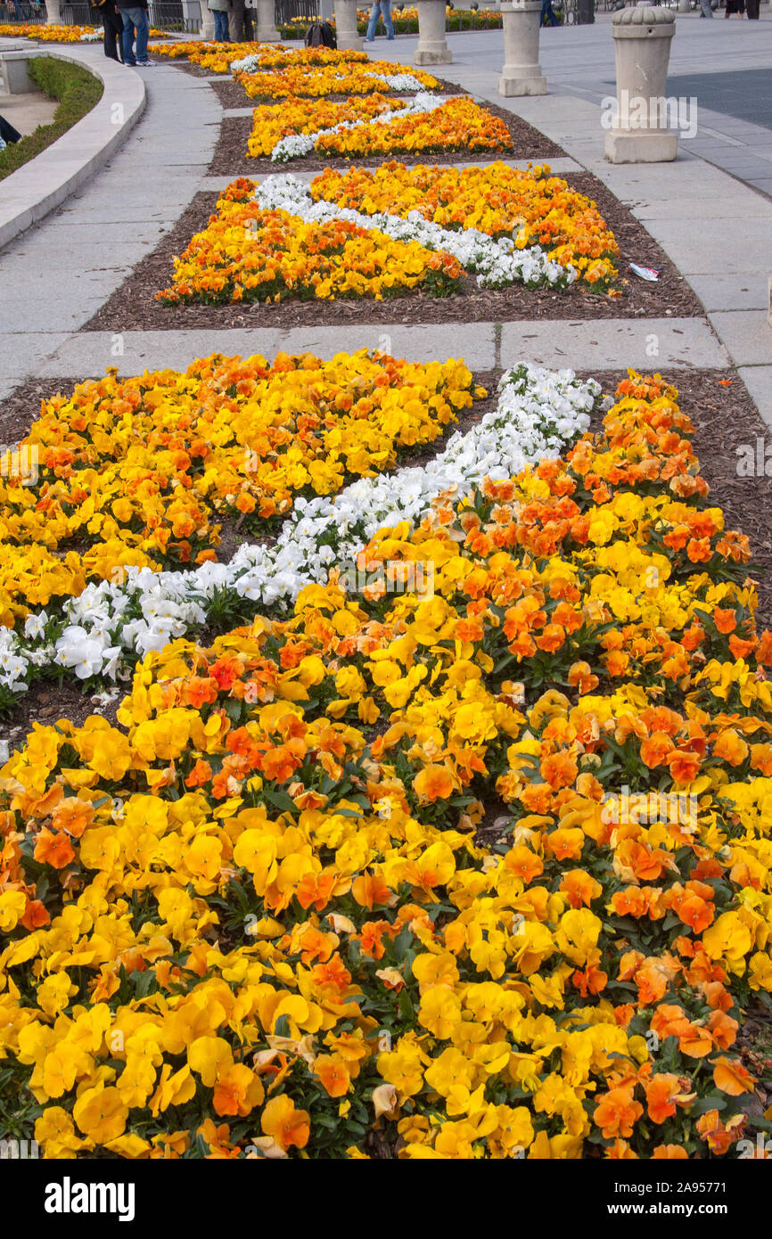 Flowers in city street gardens Stock Photo Alamy