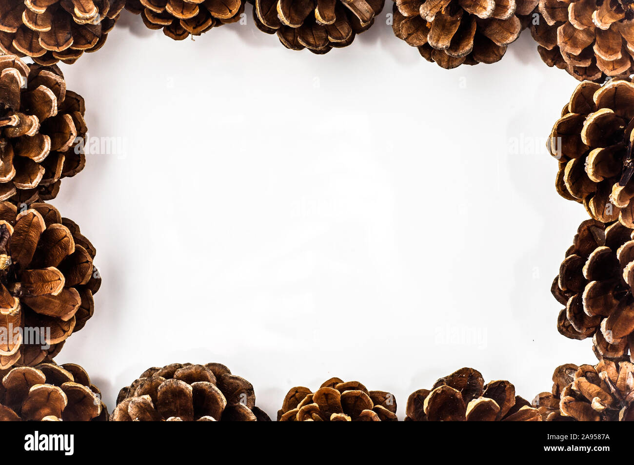 Beautiful frame with pine cones on a white background Stock Photo - Alamy
