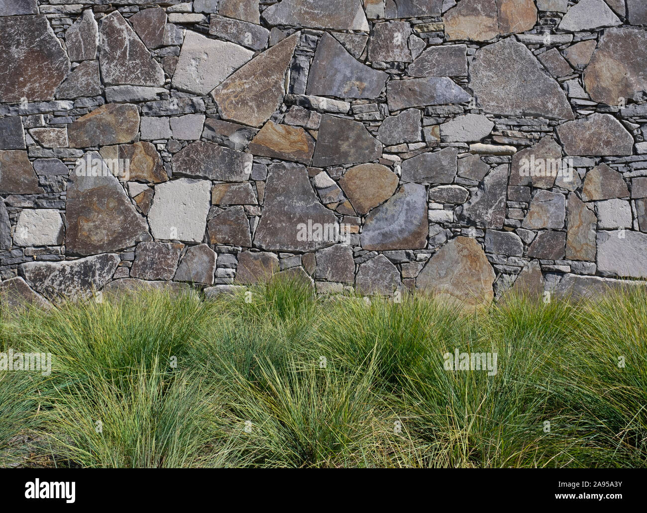 Mass planting of grasses in a landscape against a stone wall on a sunny day Stock Photo